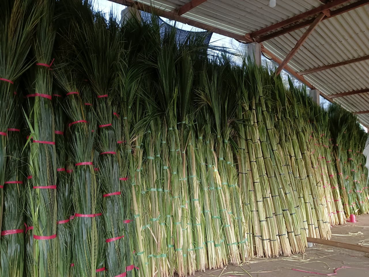 Kerajinan Janur
