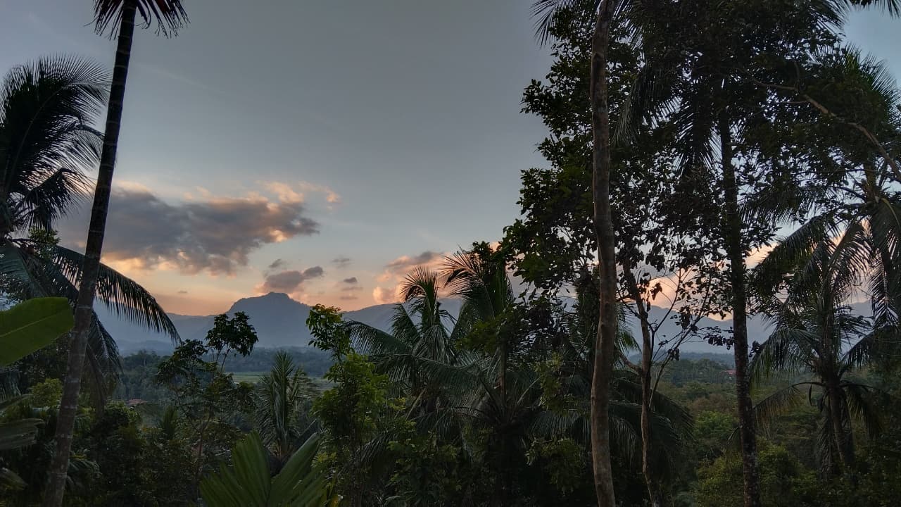 View Sunset